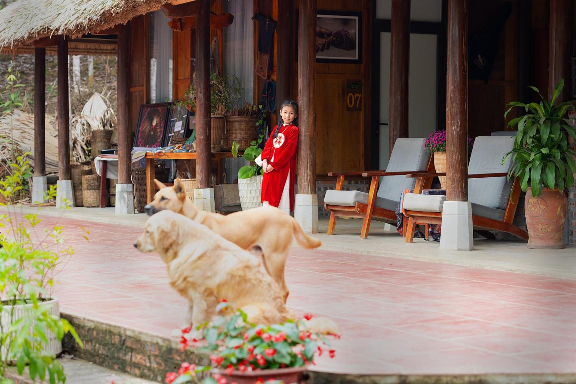 Cinnamon Eco Lodge Nam Hoac Exterior foto